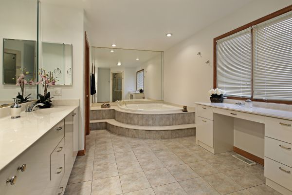 Step In Tub Installation in Prospect
